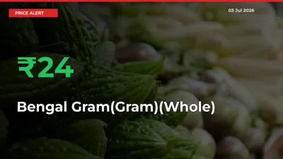 Big Rally! Bengal Gram(Gram)(Whole) Climbs 23.79% in 24 Hours at Top Mandis
