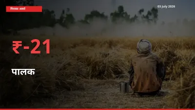 स्थानीय मंडी में पालक के दाम अचानक 21.05% गिरे, किसानों की चिंता बढ़ी