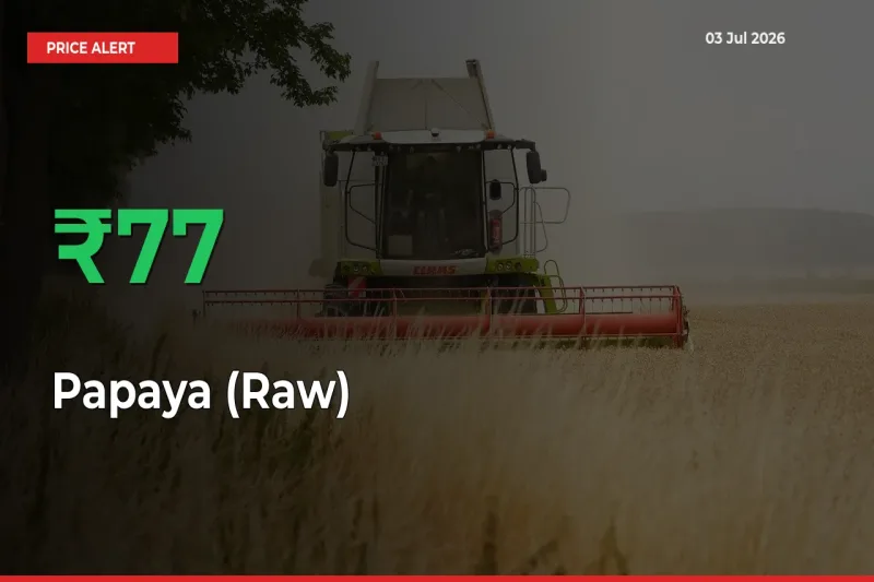 Papaya (Raw) Prices Rise 77.27% in a Day at Major Mandis
