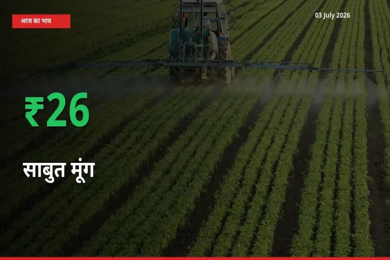 स्थानीय मंडी में साबुत मूंग के दाम अचानक 26.02% उछले, किसान सतर्क