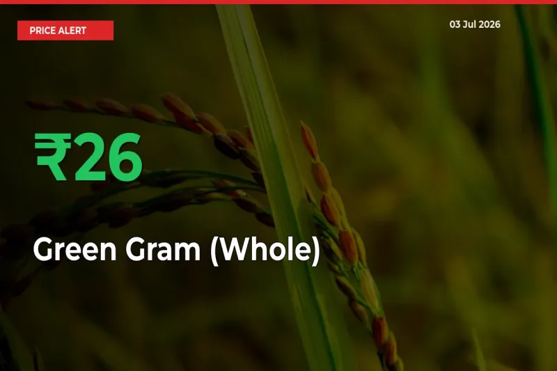 26.02% Spike in Green Gram (Whole) Prices – Mandi Sees Sudden Rally