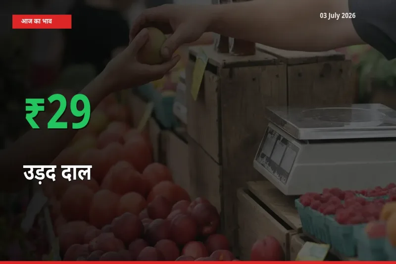 स्थानीय मंडी में उड़द दाल के दाम अचानक 29.39% उछले, किसान सतर्क