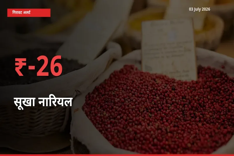 बाज़ार संकेत: सूखा नारियल के भाव मंडी में 26.01% नीचे