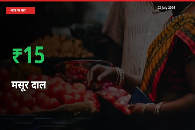 स्थानीय मंडी में मसूर दाल के दाम अचानक 15.46% उछले, किसान सतर्क