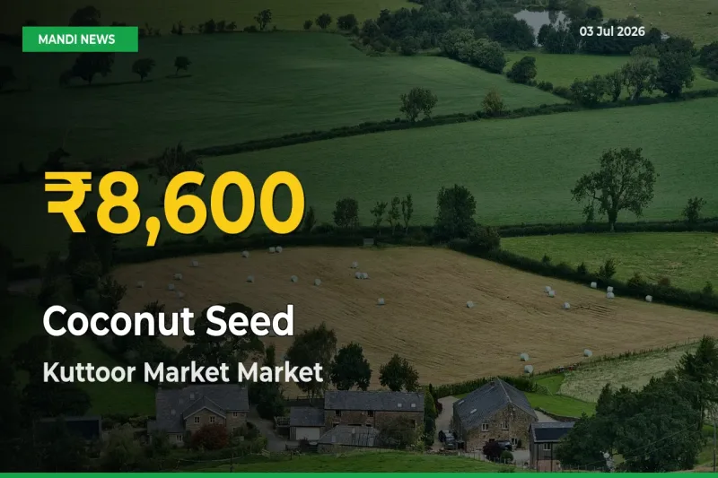 Coconut Seed Prices Soar to Record High in Kuttoor Market – Farmers Alert Today
