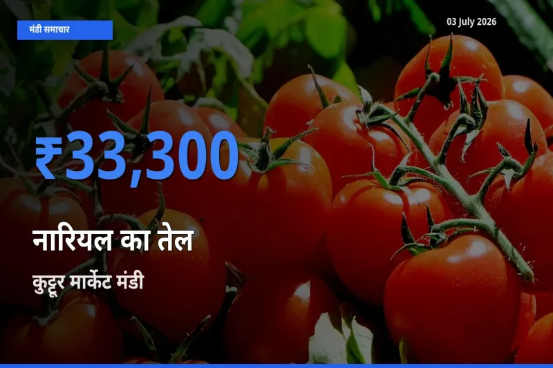 आज नारियल का तेल के सबसे ज़्यादा दाम कुट्टूर मार्केट मंडी में दर्ज