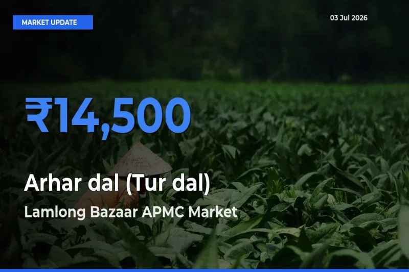 Lamlong Bazaar APMC Emerges as Top Mandi for Arhar dal (Tur dal) Prices Today