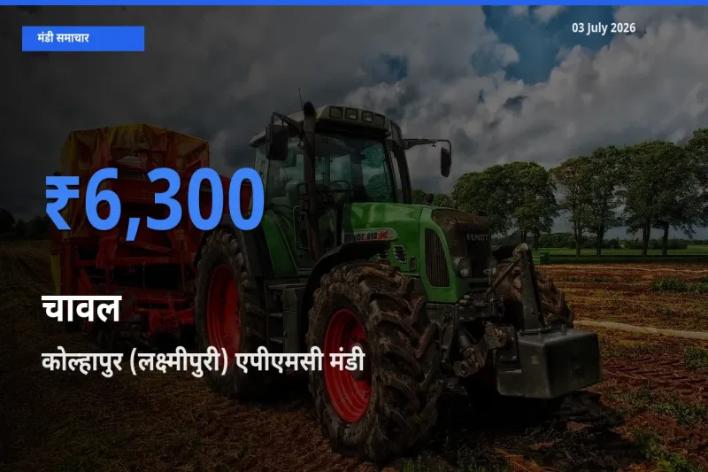 किसानों की पसंद बना कोल्हापुर (लक्ष्मीपुरी) एपीएमसी, चावल के सबसे अच्छे दाम
