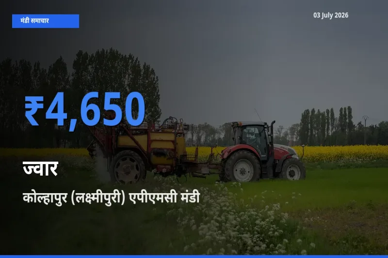 बाज़ार संकेत: कोल्हापुर (लक्ष्मीपुरी) एपीएमसी बना ज्वार के लिए आज की टॉप मंडी