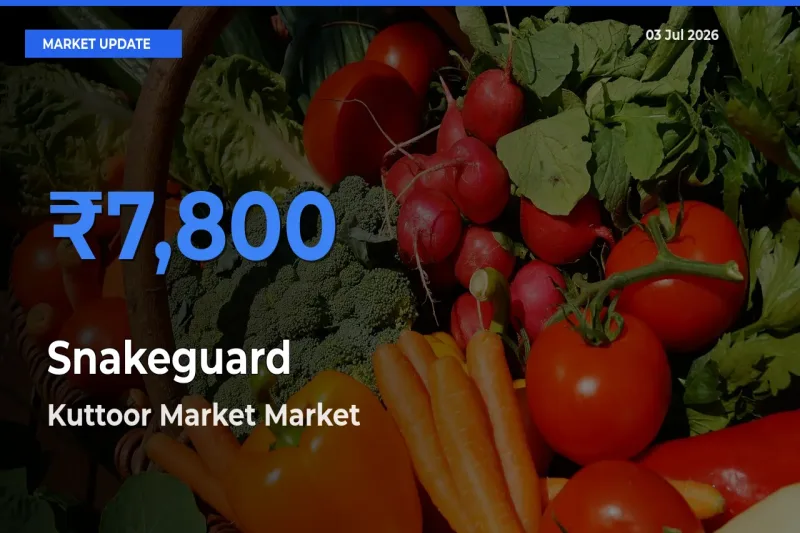 Kuttoor Market Tops Snakeguard Rates – July 03 Market Update