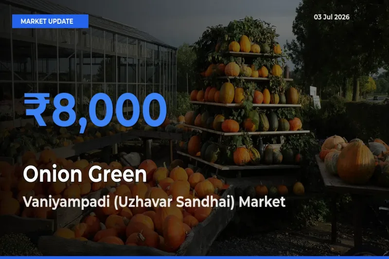 Vaniyampadi (Uzhavar Sandhai) Emerges as Top Mandi for Onion Green Prices Today