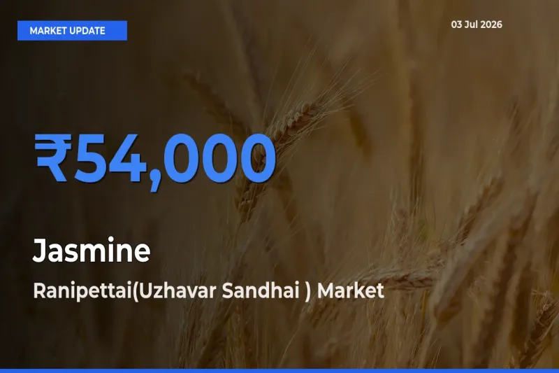 Ranipettai(Uzhavar Sandhai ) Records Highest ₹54,000 Rate for Jasmine