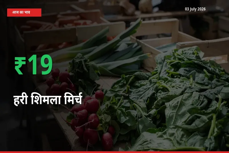 हरी शिमला मिर्च के दाम प्रमुख मंडी में 19.06% बढ़े, 24 घंटे में बड़ा बदलाव