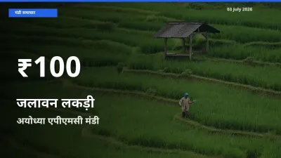 जलावन लकड़ी के दाम 30 दिनों के सबसे निचले स्तर पर, अयोध्या एपीएमसी