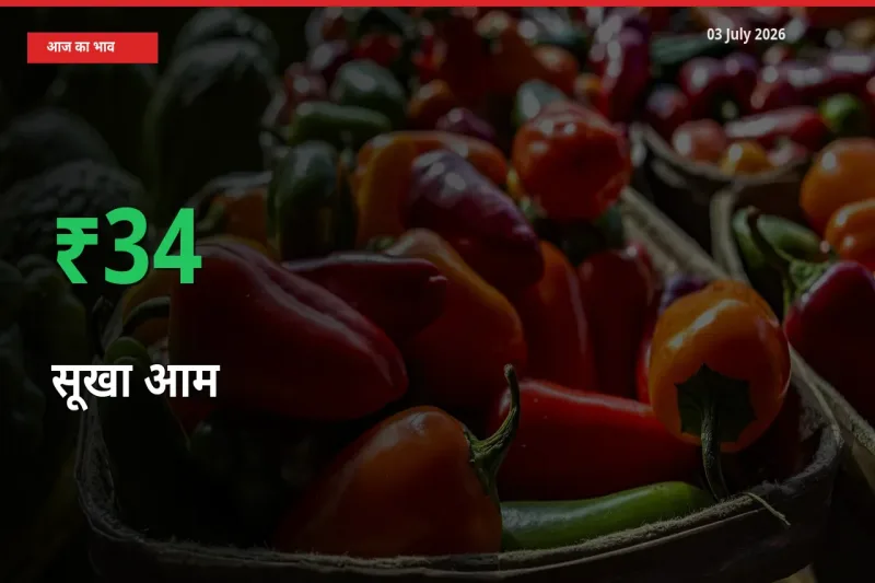 सूखा आम के दाम प्रमुख मंडी में 34.23% बढ़े, 24 घंटे में बड़ा बदलाव