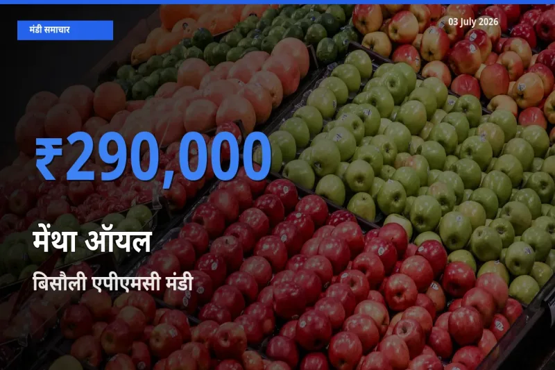 03 July अपडेट: मेंथा ऑयल के सबसे ऊँचे दाम बिसौली एपीएमसी मंडी में
