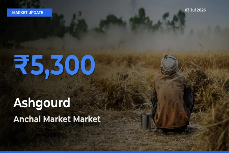 Anchal Market Leads as Top Mandi for Ashgourd Prices