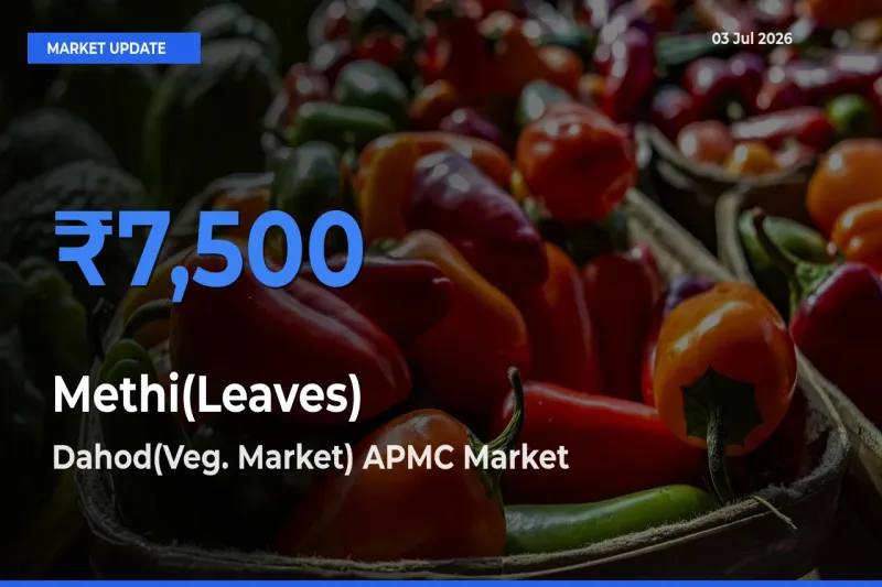 Dahod(Veg. Market) APMC Emerges as Top Mandi for Methi(Leaves) Prices Today