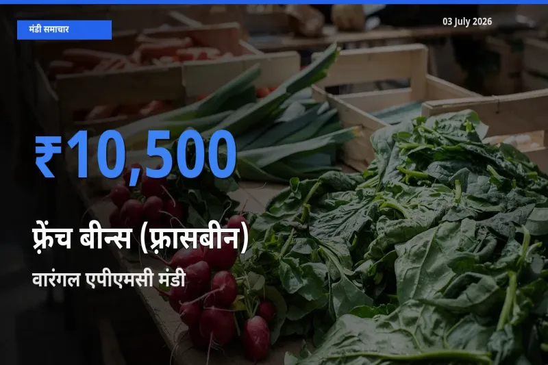 वारंगल एपीएमसी में फ़्रेंच बीन्स (फ़्रासबीन) का आज सबसे ऊँचा भाव