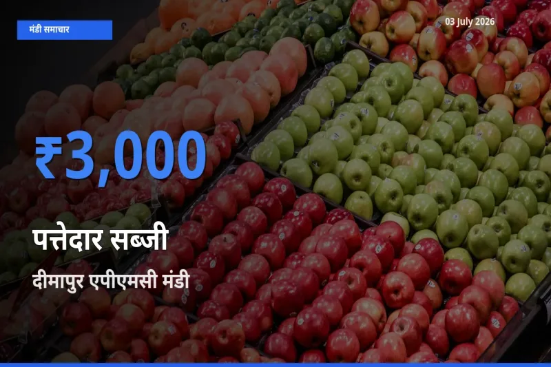 आज पत्तेदार सब्जी के सबसे ज़्यादा दाम दीमापुर एपीएमसी मंडी में दर्ज