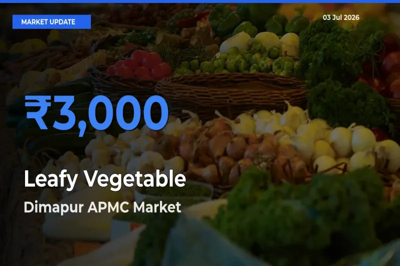 Farmers Prefer Dimapur APMC as Leafy Vegetable Hits Highest Rate