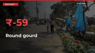 Farmers Alert as Round gourd Prices Slide 59.26% in Local Mandis