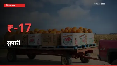 आज का मंडी भाव: सुपारी के दाम मंडी में 16.58% नीचे