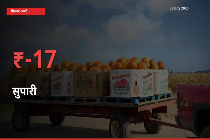 आज का मंडी भाव: सुपारी के दाम मंडी में 16.58% नीचे