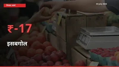 स्थानीय मंडी में इसबगोल के दाम अचानक 16.65% गिरे, किसानों की चिंता बढ़ी