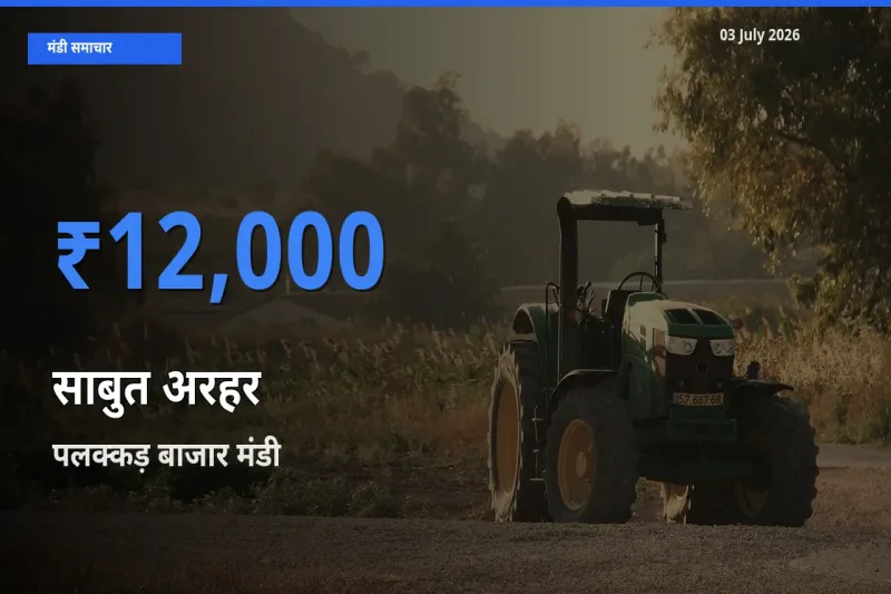 पलक्कड़ बाजार में साबुत अरहर का आज सबसे ऊँचा भाव