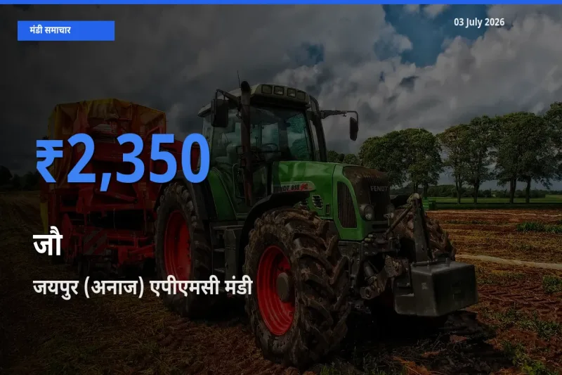 जयपुर (अनाज) एपीएमसी में जौ का आज सबसे ऊँचा भाव