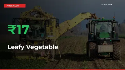 Leafy Vegetable Rises 17.45% at Mandis