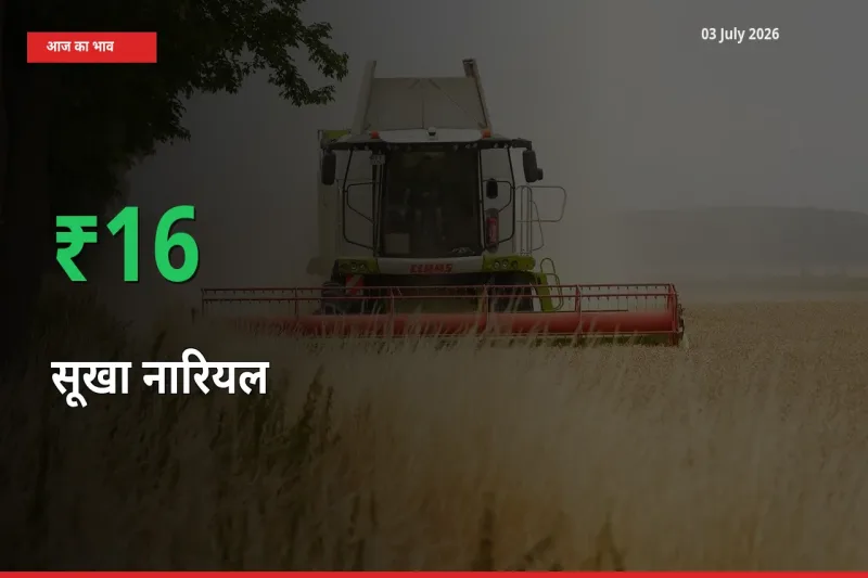 किसानों के लिए खुशखबरी! स्थानीय मंडी में सूखा नारियल 16.35% उछला
