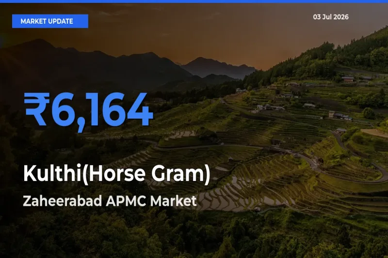 Zaheerabad APMC Records Highest ₹6,164 Rate for Kulthi(Horse Gram)