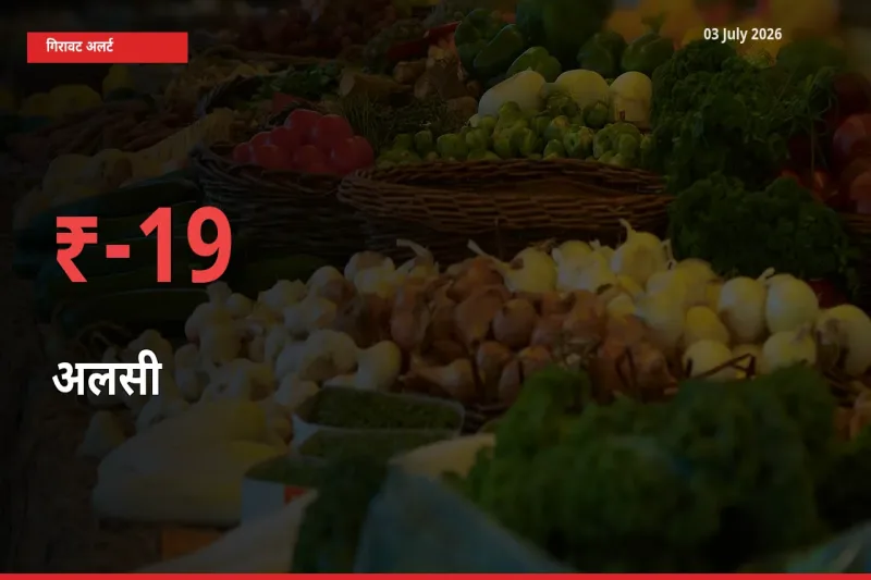 18.87% की गिरावट! मंडी में अलसी के दाम अचानक टूटे