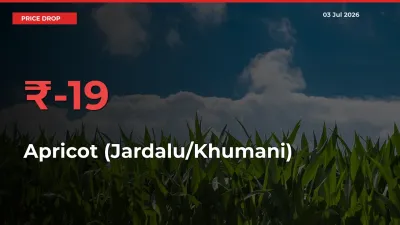 Apricot (Jardalu/Khumani) Falls 19.27% at Mandis