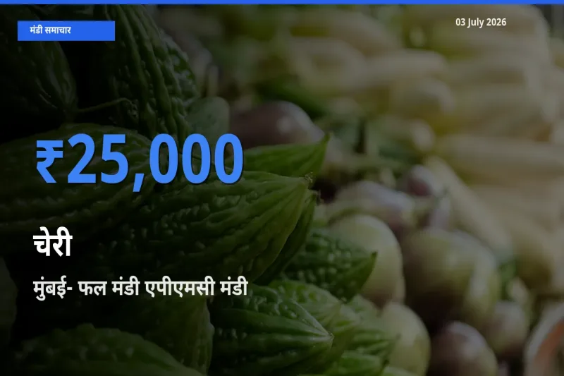 बाज़ार संकेत: मुंबई- फल मंडी एपीएमसी बना चेरी के लिए आज की टॉप मंडी