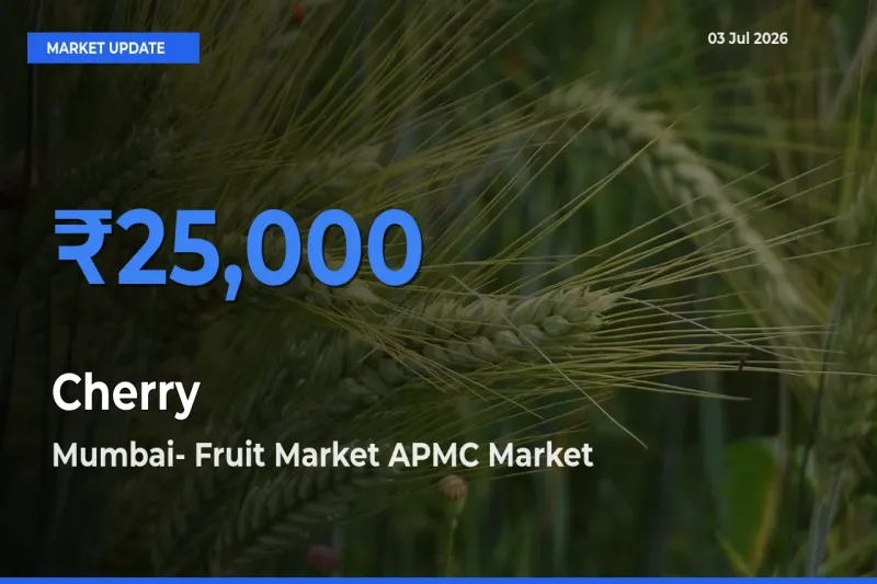 Mumbai- Fruit Market APMC Tops Cherry Mandi Rates Today