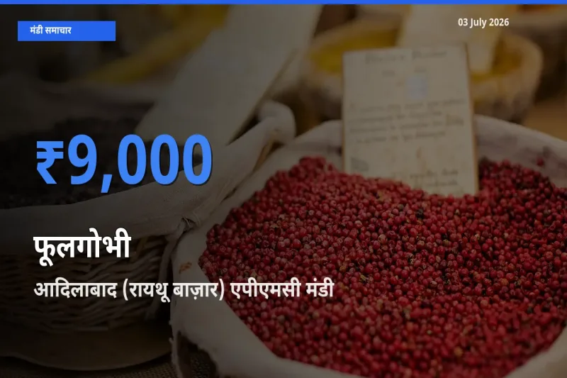 आज फूलगोभी के सबसे ऊँचे दाम ₹9,000 आदिलाबाद (रायथू बाज़ार) एपीएमसी मंडी में