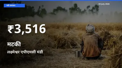 मटकी के दाम 30 दिनों के सबसे निचले स्तर पर, लक्ष्मेश्वर एपीएमसी