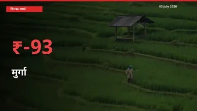 स्थानीय मंडी में मुर्गा के दाम अचानक 93.33% गिरे, किसानों की चिंता बढ़ी