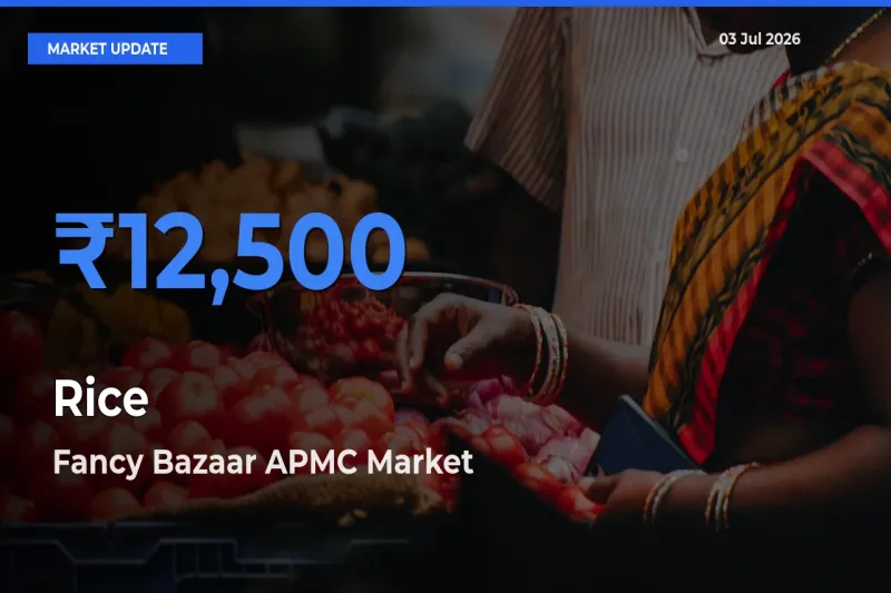 Fancy Bazaar APMC Tops Rice Rates – July 03 Market Update