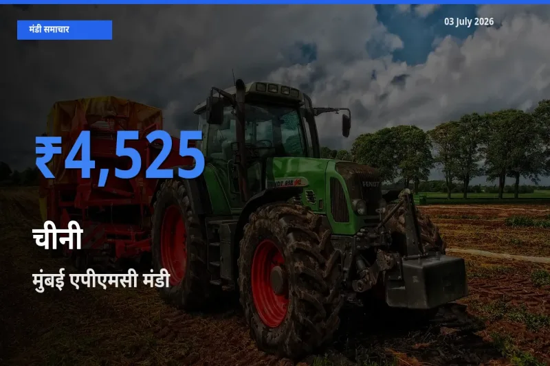 03 July अपडेट: चीनी के सबसे ऊँचे दाम मुंबई एपीएमसी मंडी में
