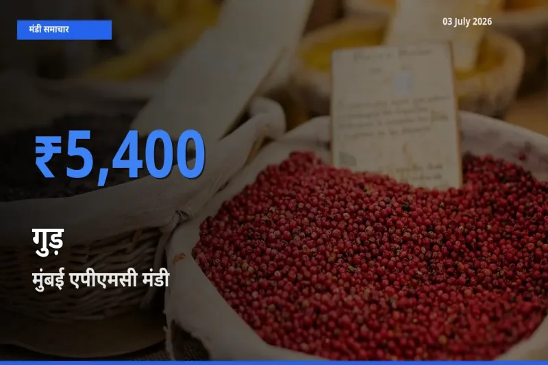 बाज़ार संकेत: मुंबई एपीएमसी बना गुड़ के लिए आज की टॉप मंडी
