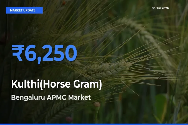 Bengaluru APMC Records Highest ₹6,250 Rate for Kulthi(Horse Gram)