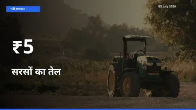 सरसों का तेल के दामों का असर कई मंडियों में, बाज़ार दिशा स्पष्ट