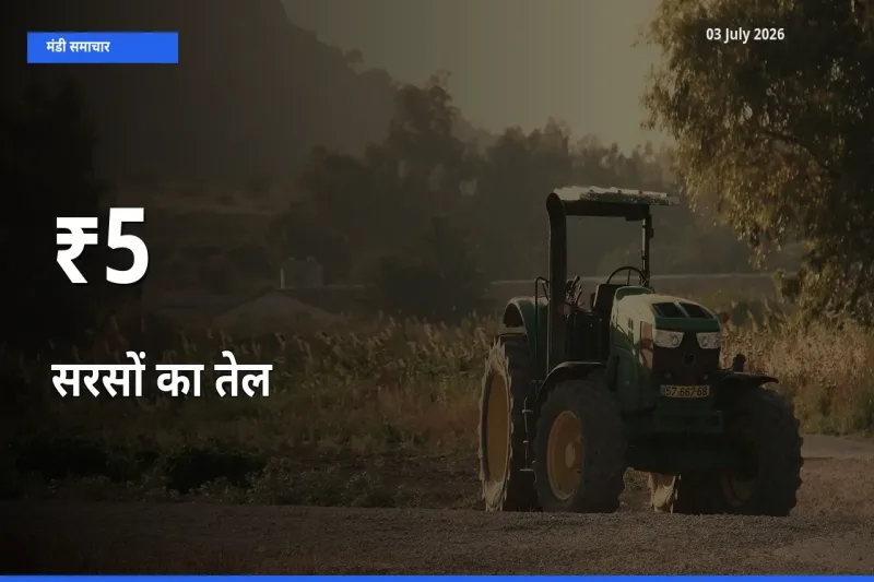 सरसों का तेल के दामों का असर कई मंडियों में, बाज़ार दिशा स्पष्ट