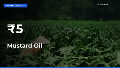 Mustard Oil Mandi Trend Today: Prices Shift Across Multiple Markets