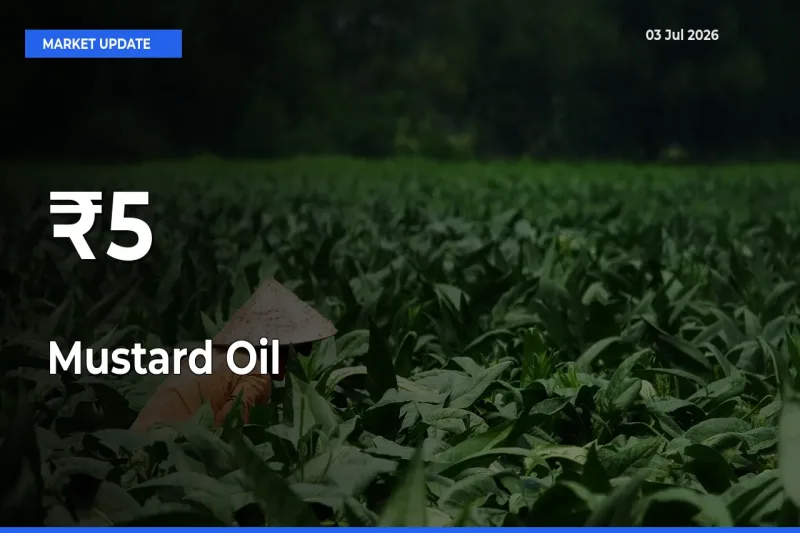 Mustard Oil Mandi Trend Today: Prices Shift Across Multiple Markets
