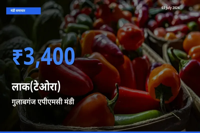 किसानों की पसंद बना गुलाबगंज एपीएमसी, लाक(टेओरा) के सबसे अच्छे दाम